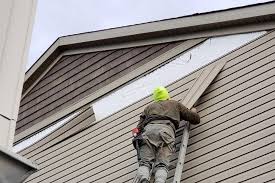 Best Siding Painting and Refinishing  in Julian, CA